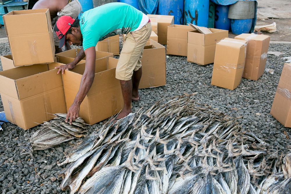 Journeys to Asia: Fishing in Negombo