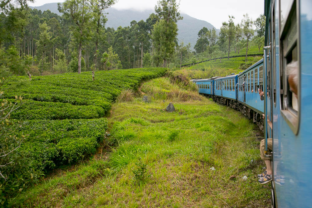 Journeys to Asia: Sri Lanka Highlands