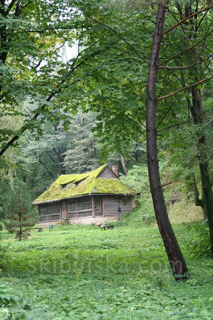 Europe and beyond: Romania