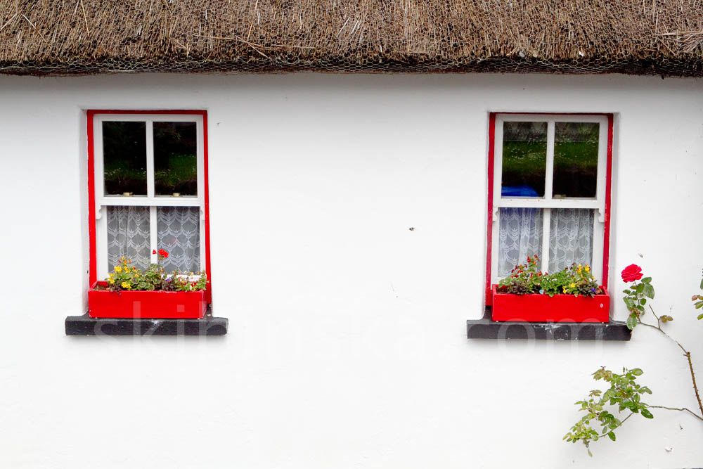 Europe and beyond: Ireland