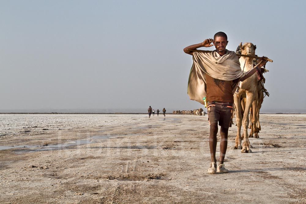 Ethiopia: Salt Caravans