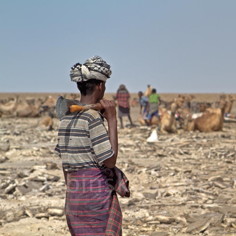 Ethiopia: Salt Caravans
