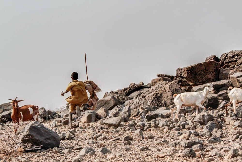 Tribal East Africa: Pastoralists Gabbra