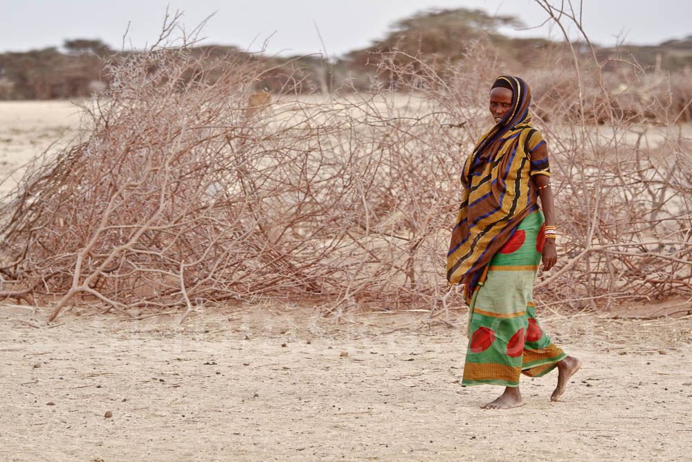 Tribal East Africa: Pastoralists Gabbra