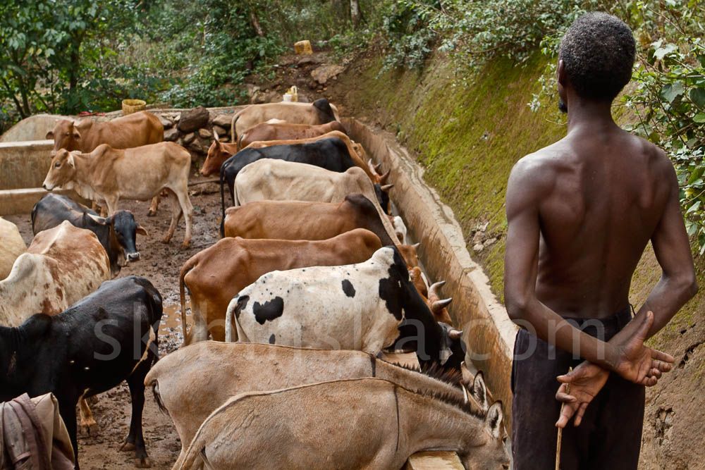 Tribal East Africa: Borana Singing Well