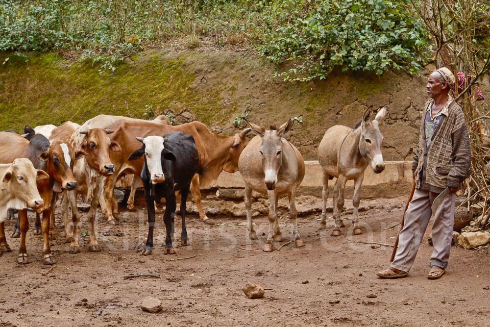 Tribal East Africa: Borana Singing Well