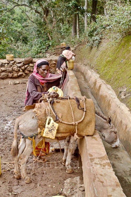 Tribal East Africa: Borana Singing Well