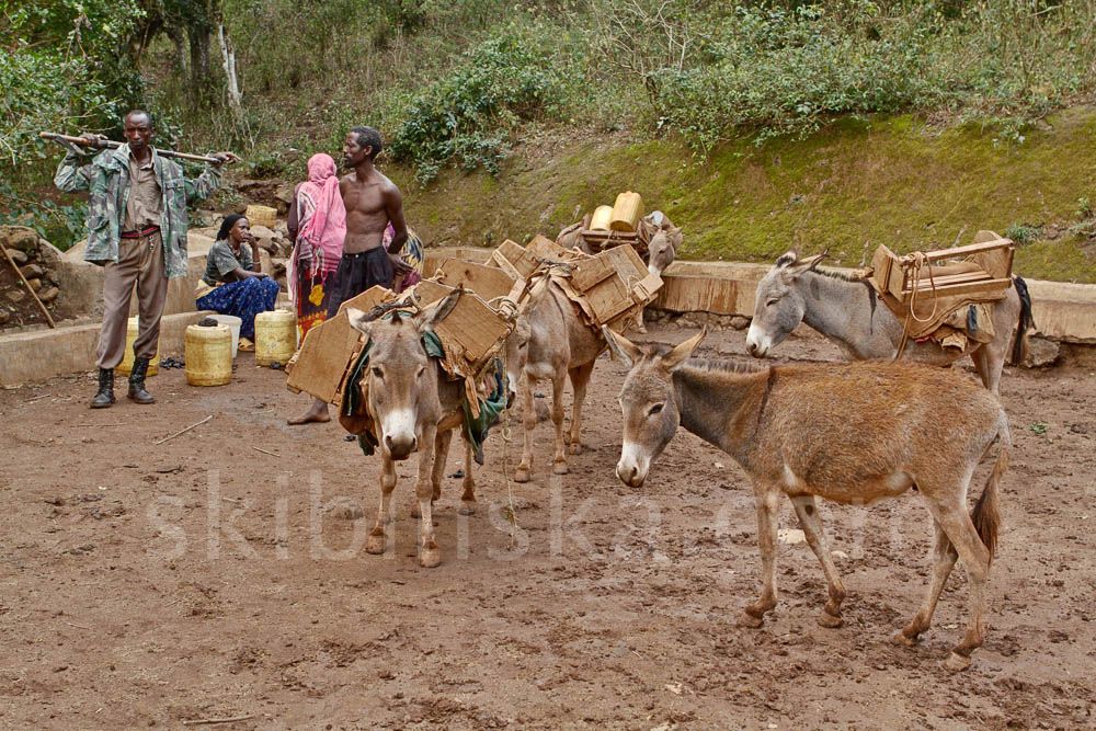 Tribal East Africa: Borana Singing Well