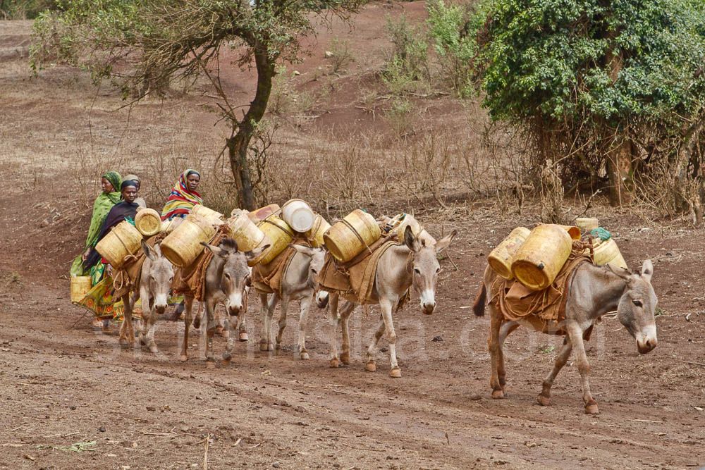 Tribal East Africa: Borana Singing Well