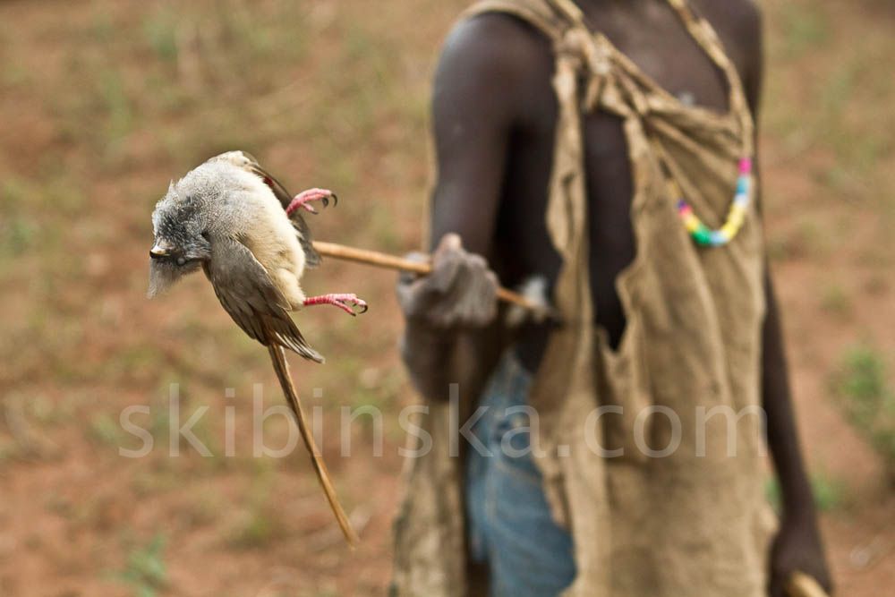 Tribal East Africa: Hadzabe