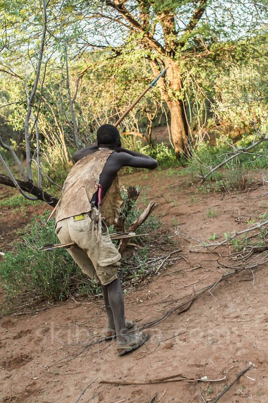 Tribal East Africa: Hadzabe
