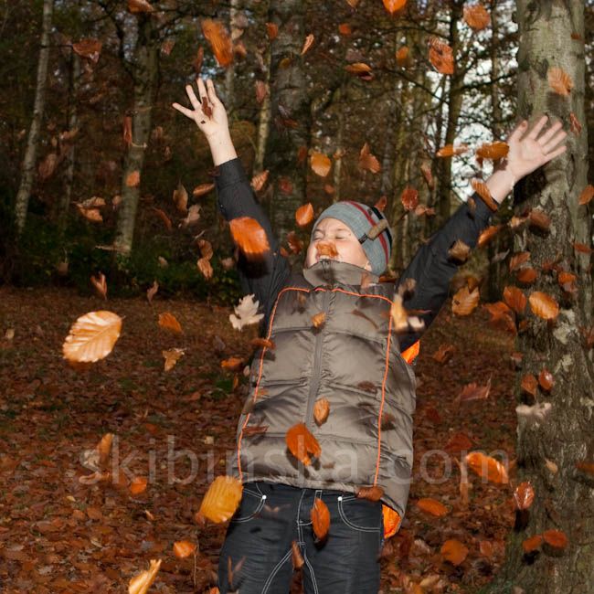 Shows & Events: Crazy Autumn