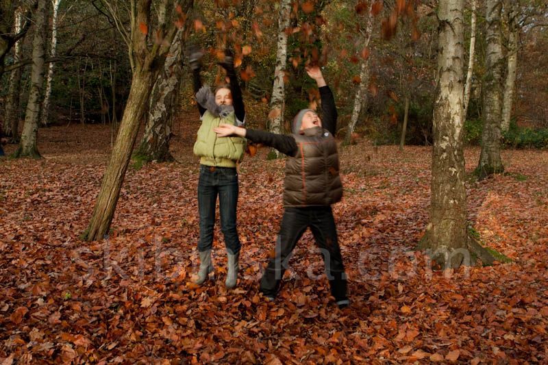 Shows & Events: Crazy Autumn
