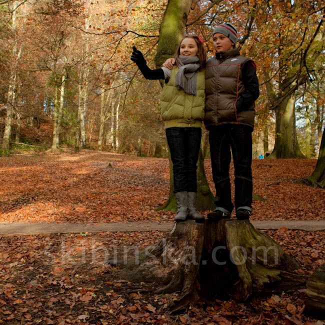 Shows & Events: Crazy Autumn