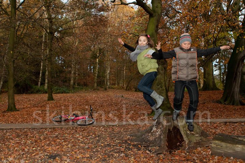 Shows & Events: Crazy Autumn