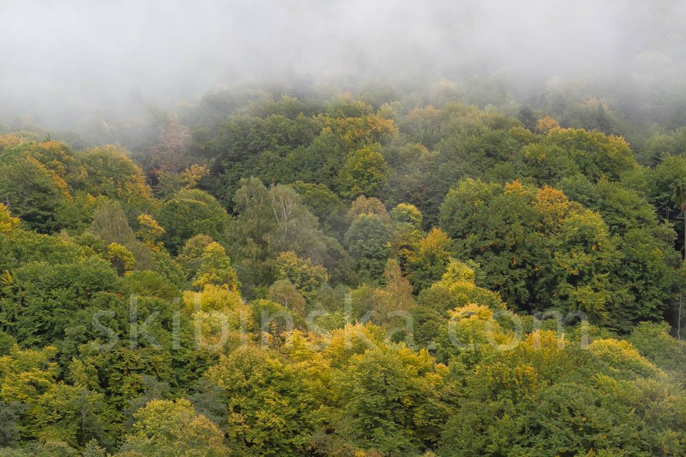 Europe and beyond: The Balkans