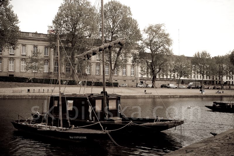 Europe and beyond: France