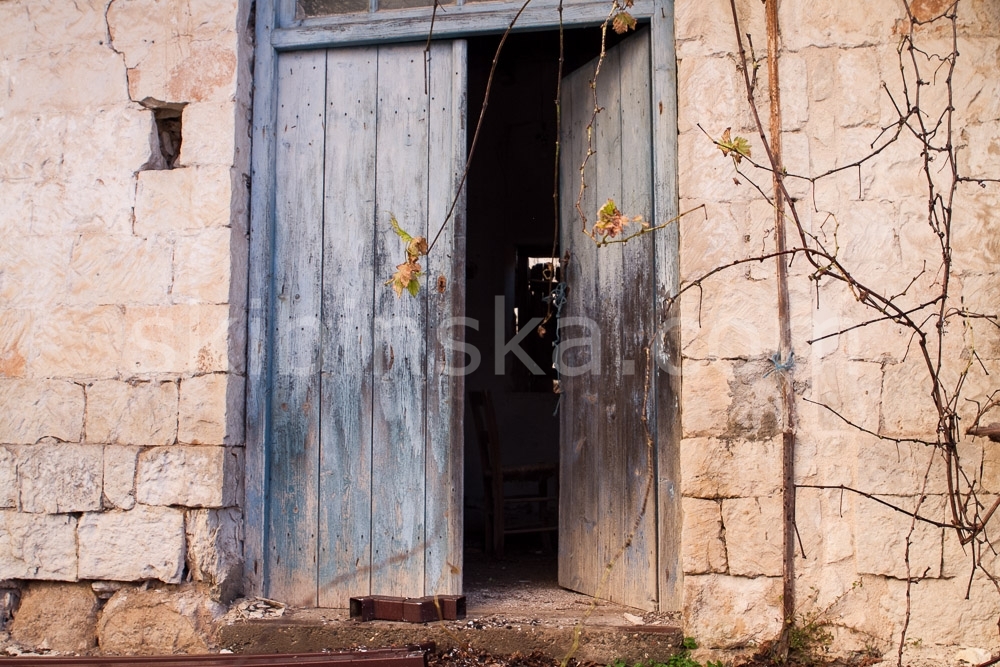 Europe and beyond: Cyprus