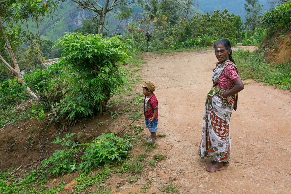 Journeys to Asia: Tea Plantations of Sri Lanka