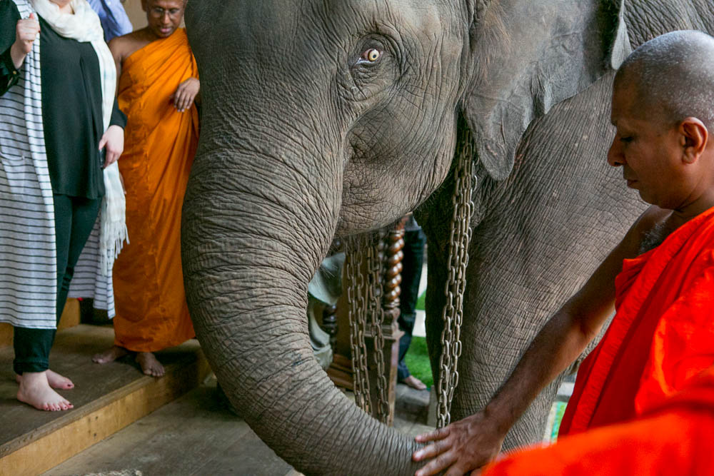 Journeys to Asia: Buddhist Temples of Sri Lanka