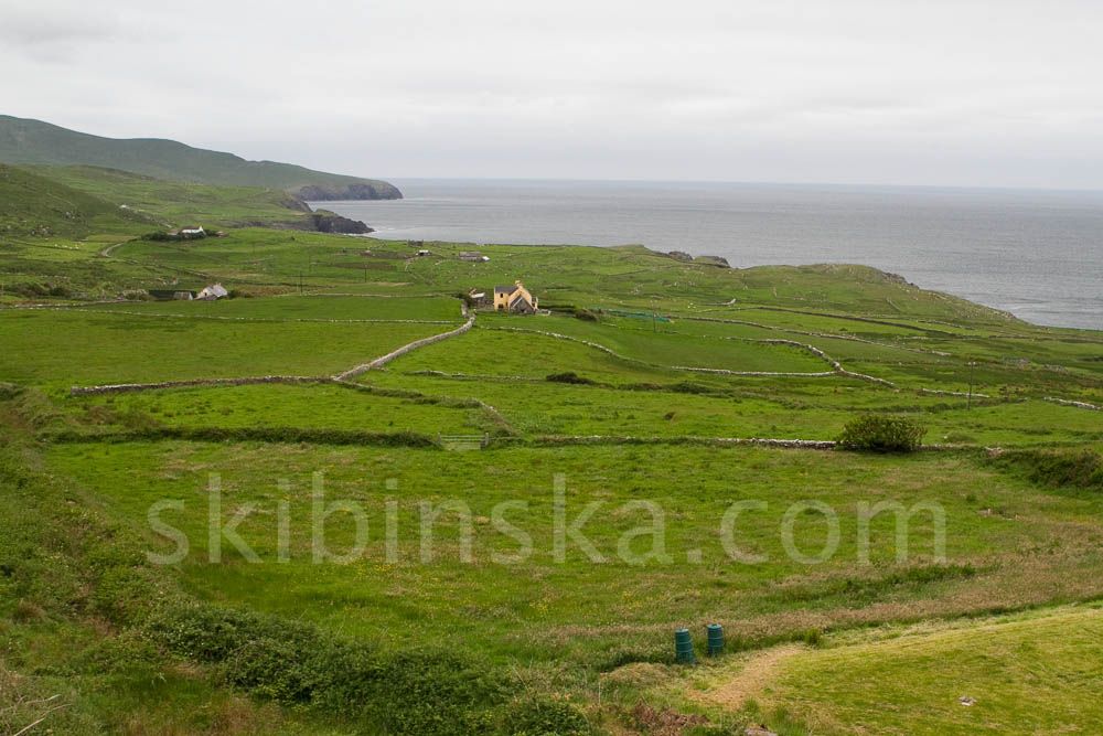 Europe and beyond: Ireland