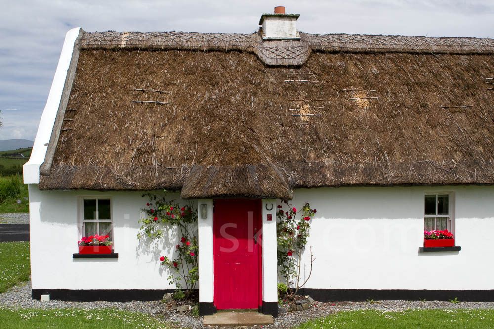 Europe and beyond: Ireland